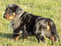 Ruban Bleu Ciel