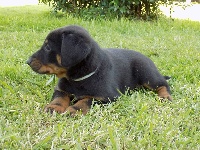 Ruban Bleu Ciel